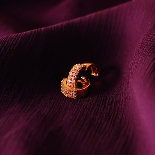 Tiny Beautiful Golden Earrings